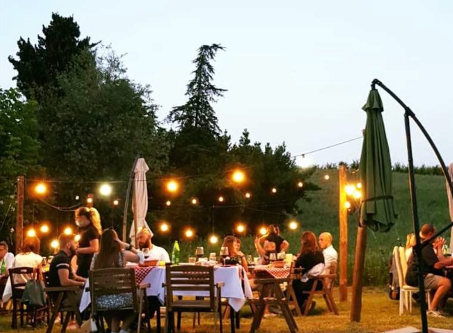 I 20 migliori Picnic in Vigna in Italia