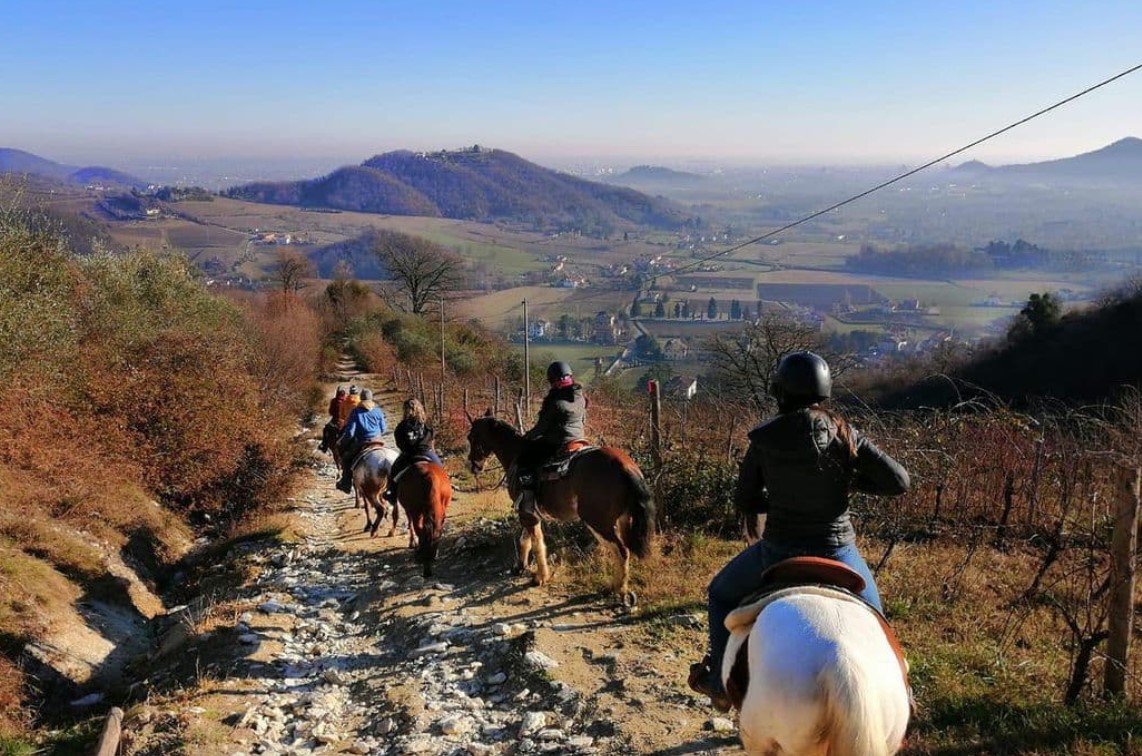 Le 15 migliori passeggiate a Cavallo in Veneto