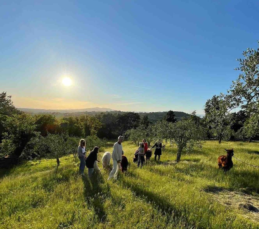 Passeggiate con Alpaca in Toscana: Le 2 migliori