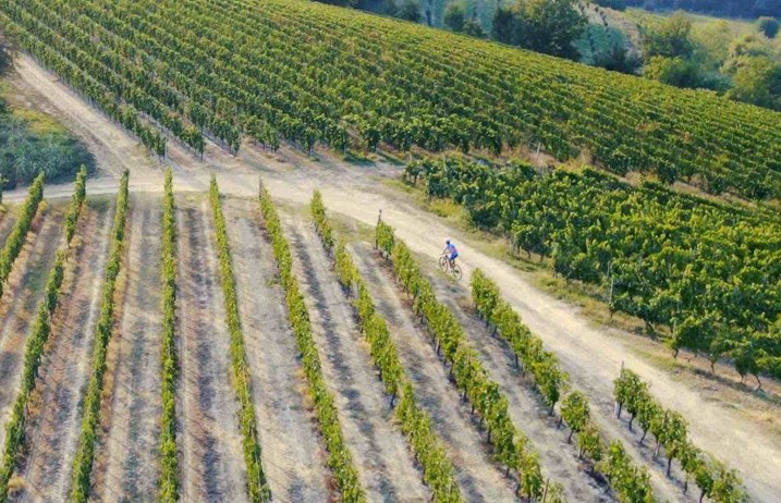 Giri in E-bike in Piemonte: i 4 migliori giri