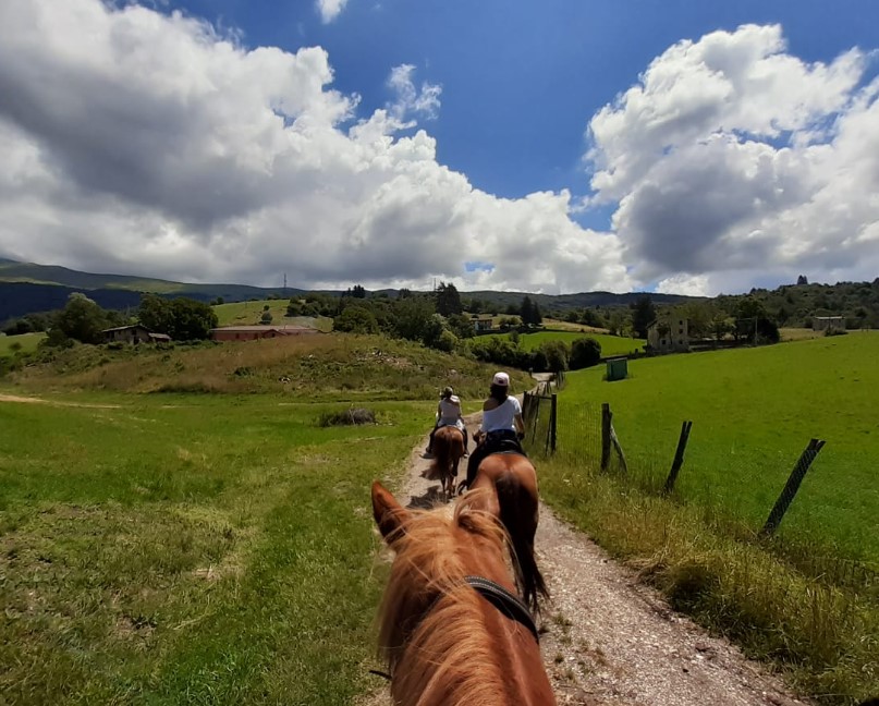 Passeggiate a Cavallo a Verona: Le 8 migliori