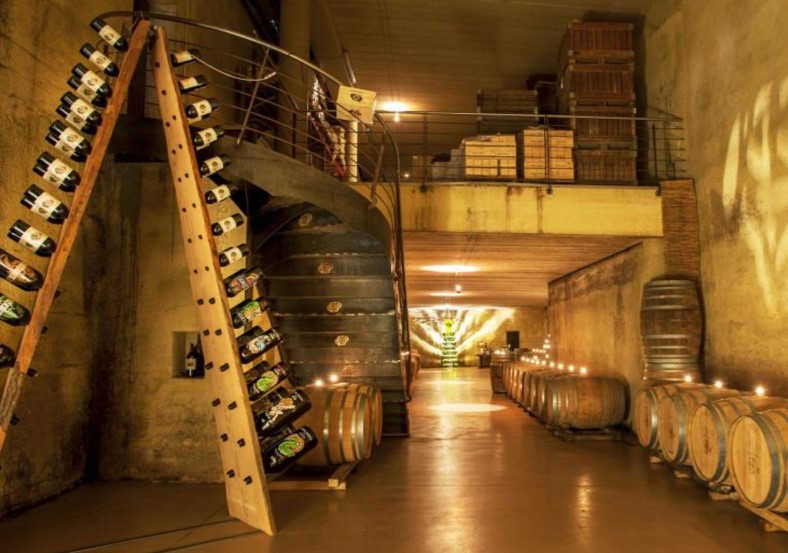 Le 15 migliori degustazioni vini a Torino e dintorni