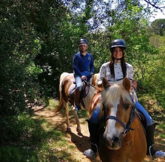 Passeggiate a Cavallo a Siena: le 5 migliori
