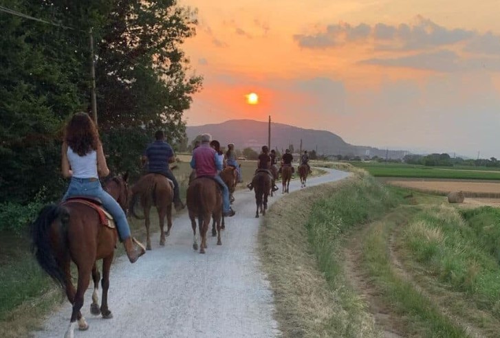 Passeggiate a Cavallo a Padova: le 2 migliori