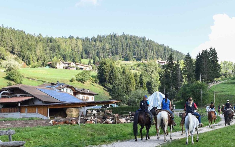 Passeggiate a Cavallo a Trento: le 5 migliori