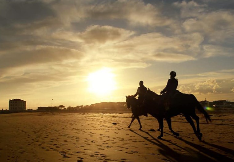 Passeggiate a Cavallo a Treviso: le 5 migliori
