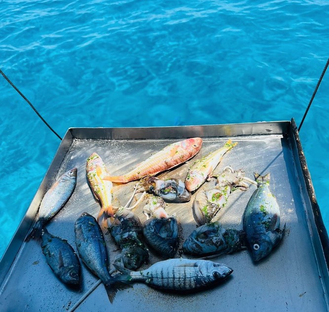 Pescaturismo: Le 10 migliori escursioni in Italia