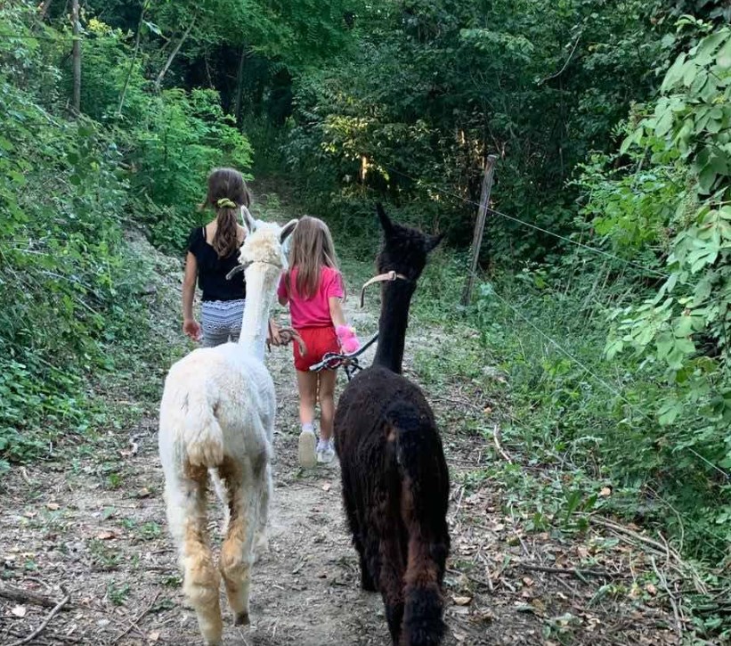 Le 8 migliori esperienze da fare a Cuneo