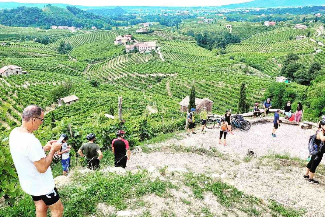 Le migliori 15 esperienze da fare a Treviso