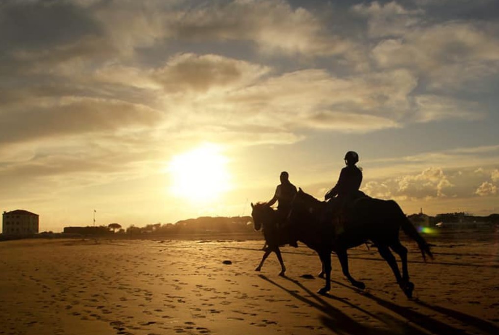 Venezia e Laguna Veneta: le migliori 4 esperienze