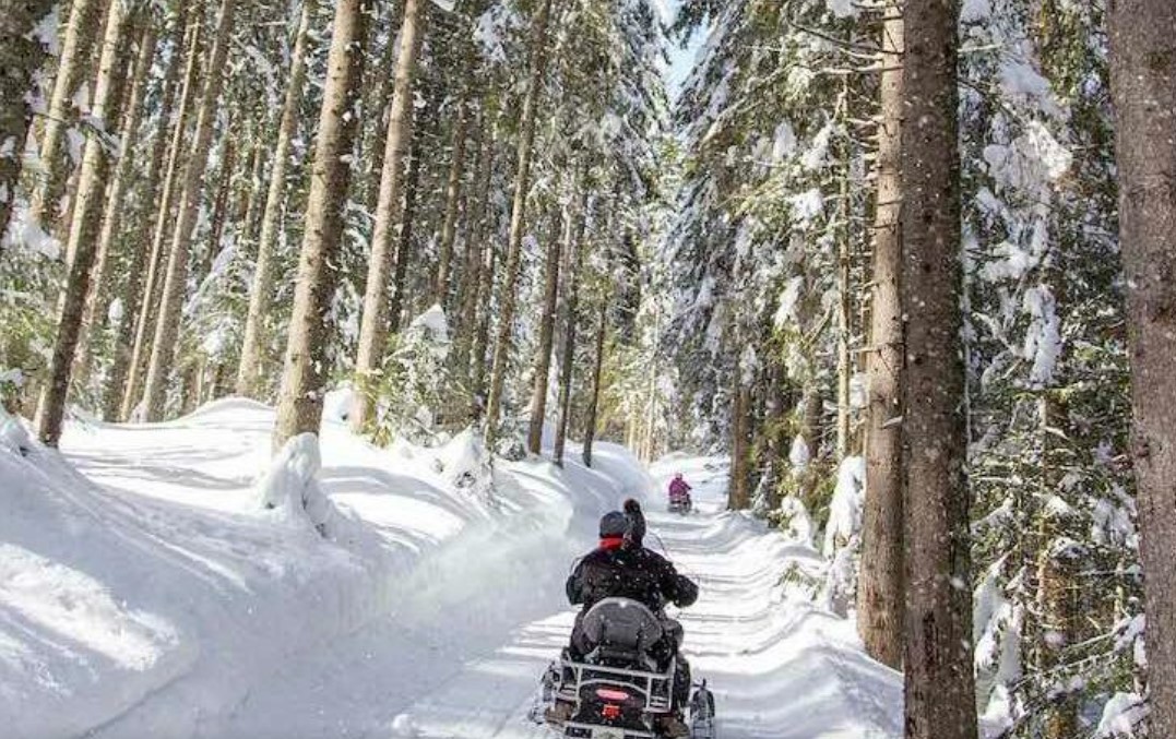 Escursioni in Motoslitta in Friuli: Le 6 migliori