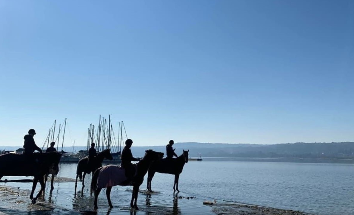 Passeggiate a Cavallo a Varese: le 7 migliori