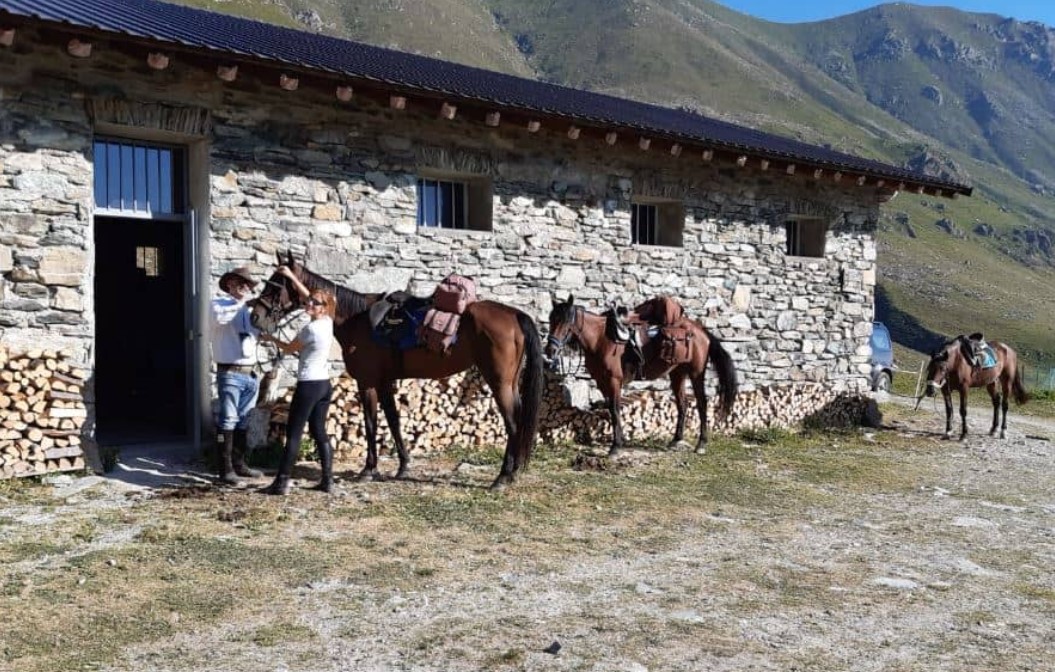 Passeggiate a cavallo a Rivoli: Le 2 migliori