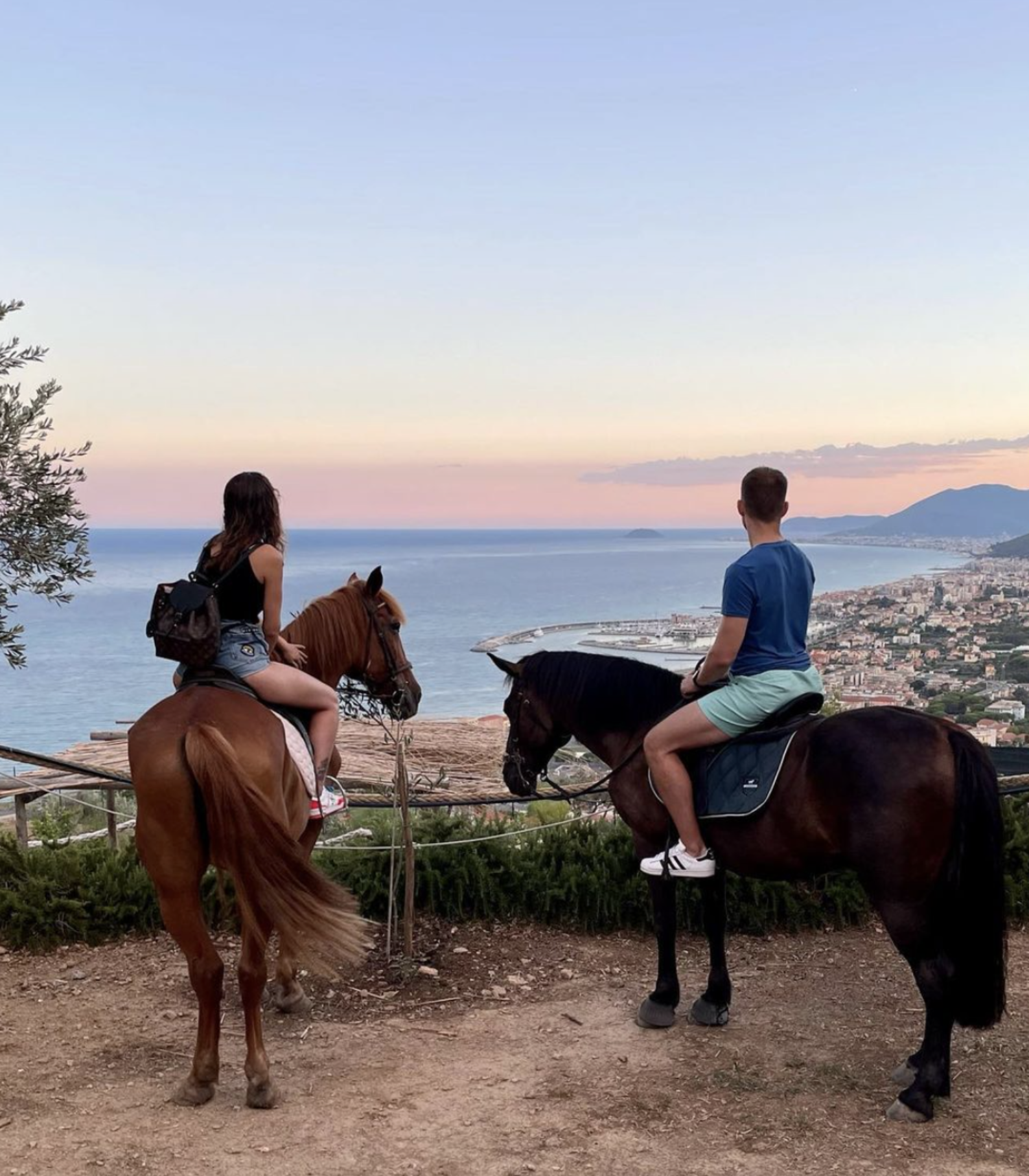 Passeggiate a Cavallo a Savona: le migliori