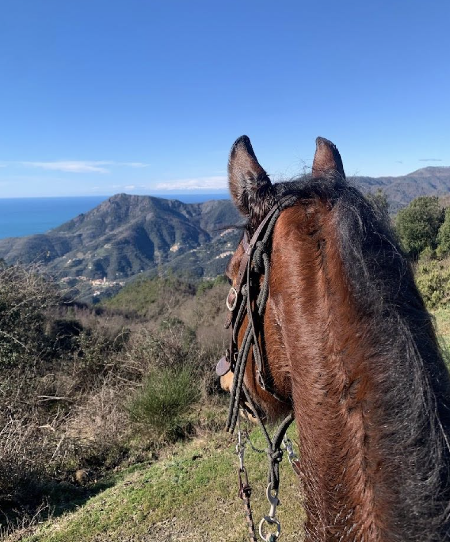 Passeggiate a Cavallo a La Spezia: La migliore