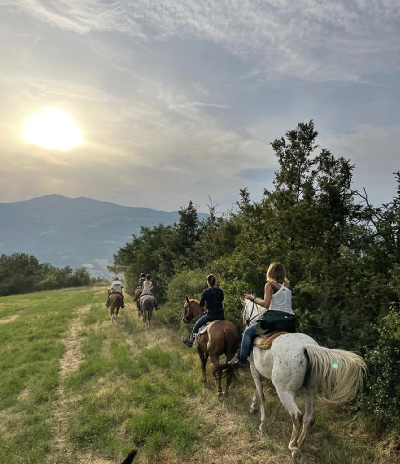 Passeggiate a Cavallo a Modena: la migliore