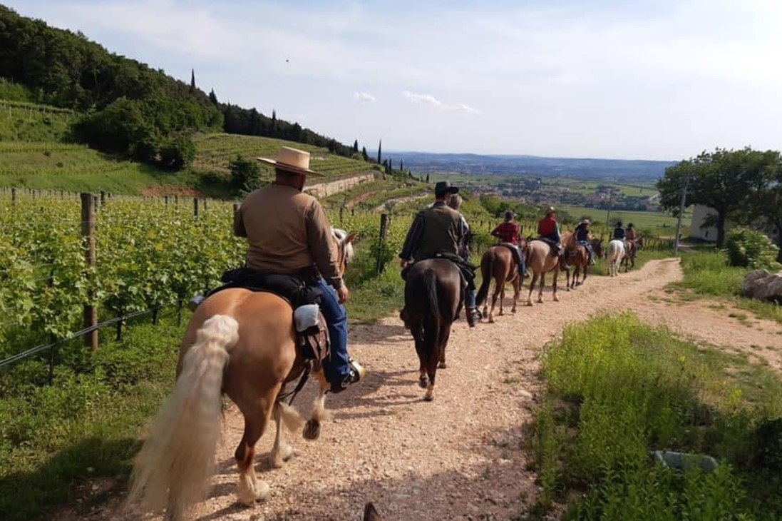 Le 3 migliori Passeggiate a Cavallo in Valpolicella