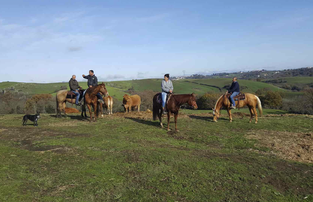 Le 15 migliori passeggiate a cavallo nel Lazio