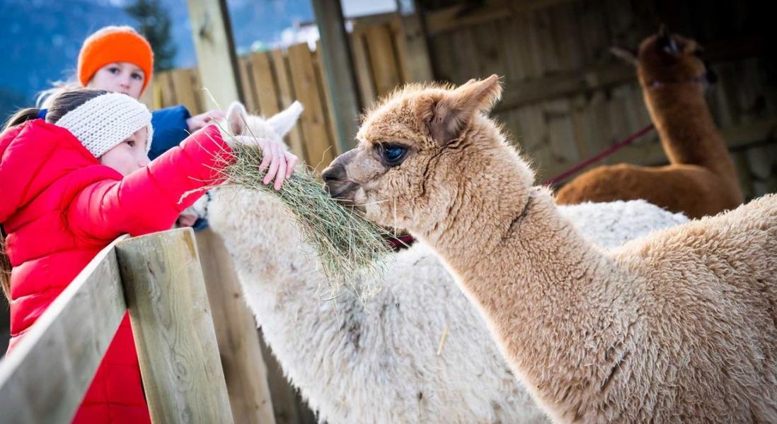 Le migliori 20 esperienze per bambini