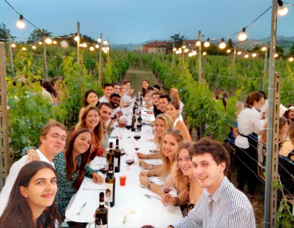 Le 20 migliori degustazioni vini in Piemonte