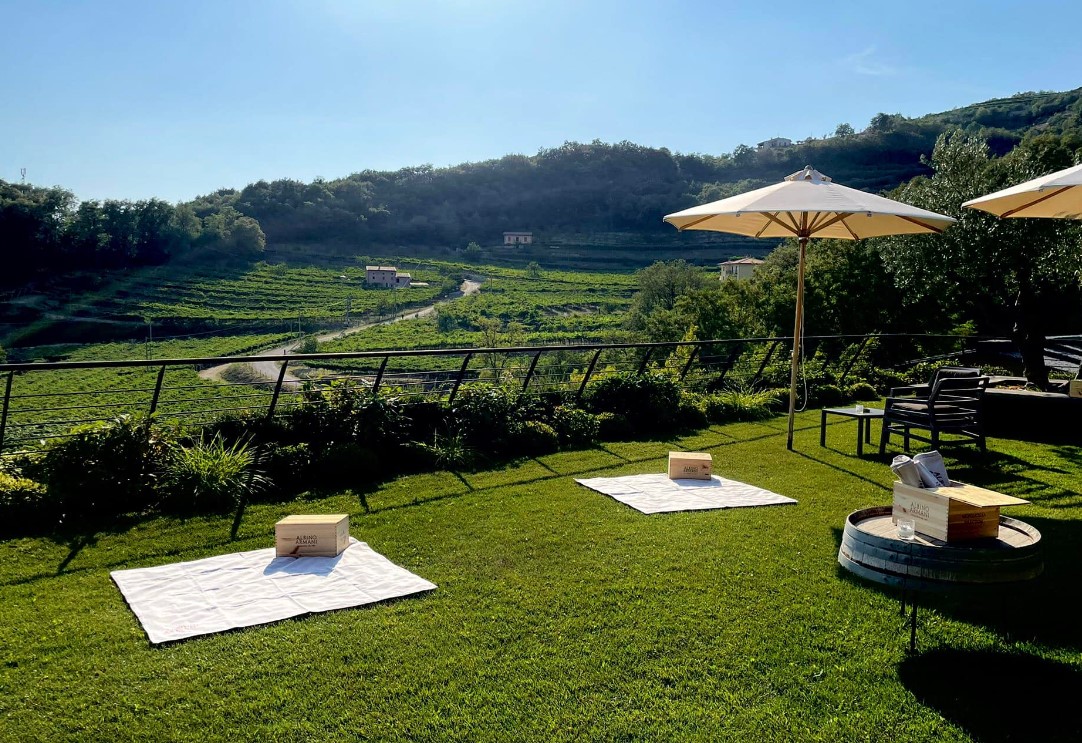 Le 20 migliori degustazioni vini al Lago di Garda