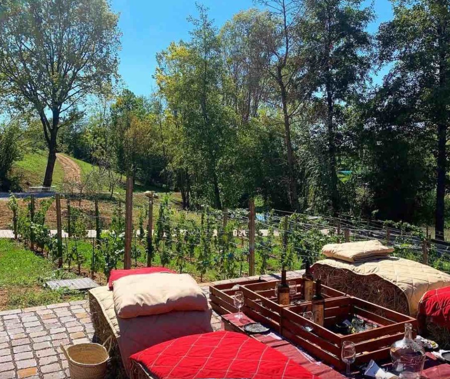 Picnic intorno a Bergamo: i 3 migliori