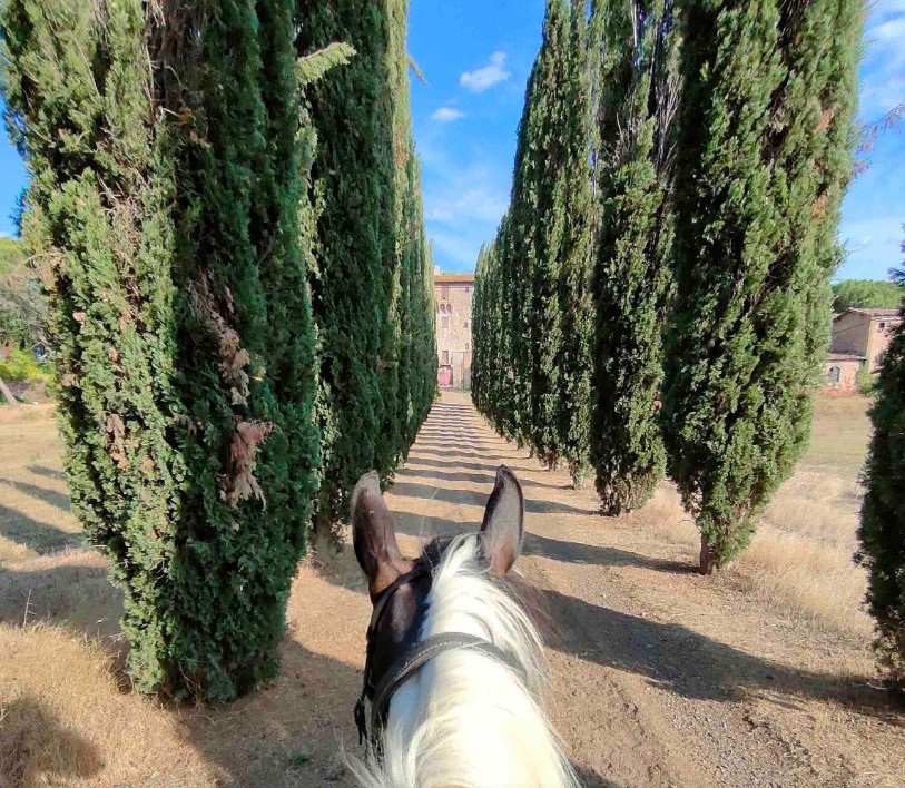 Passeggiate a Cavallo in Toscana: Le 15 migliori