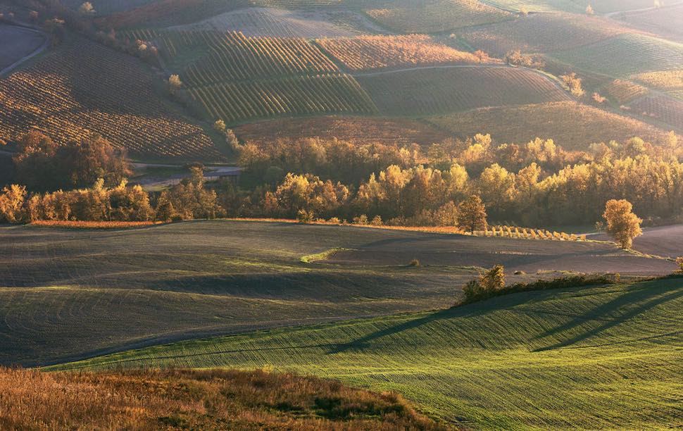 Cosa fare in Oltrepò Pavese: le 10 migliori attività