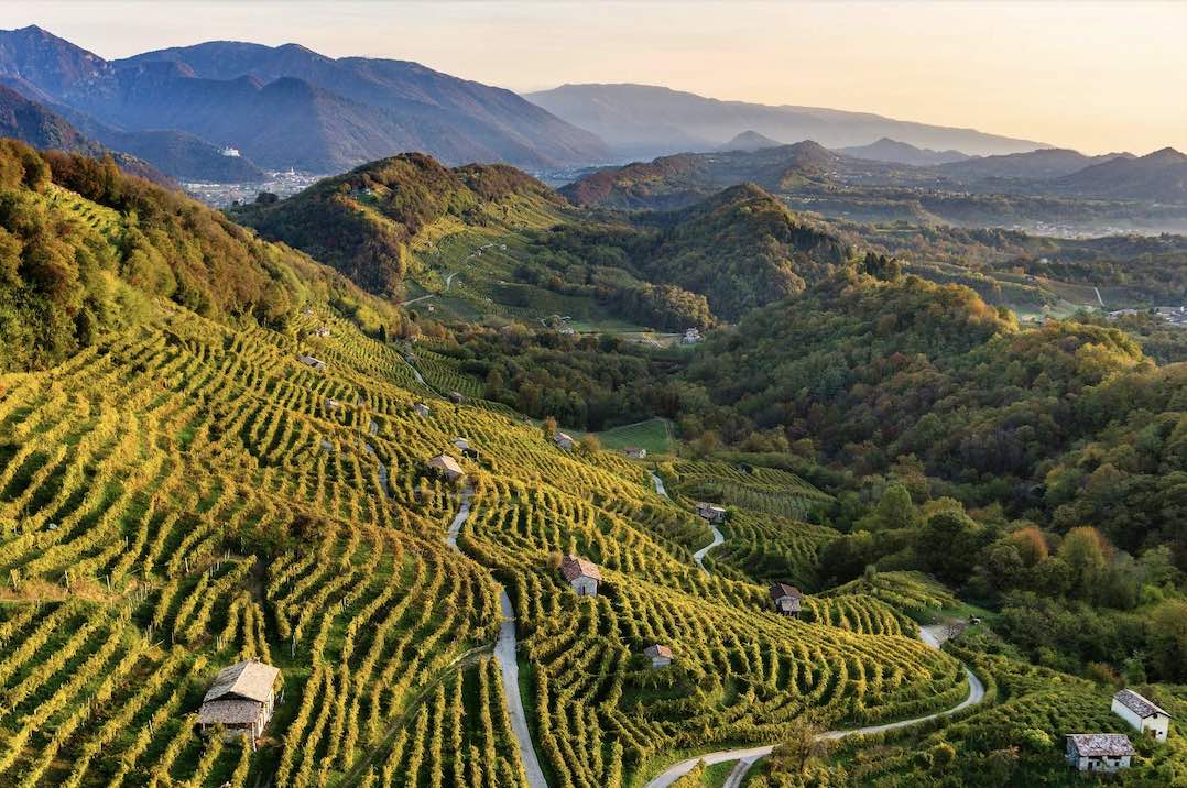 Cosa fare in Valpolicella: Le 10 migliori esperienze