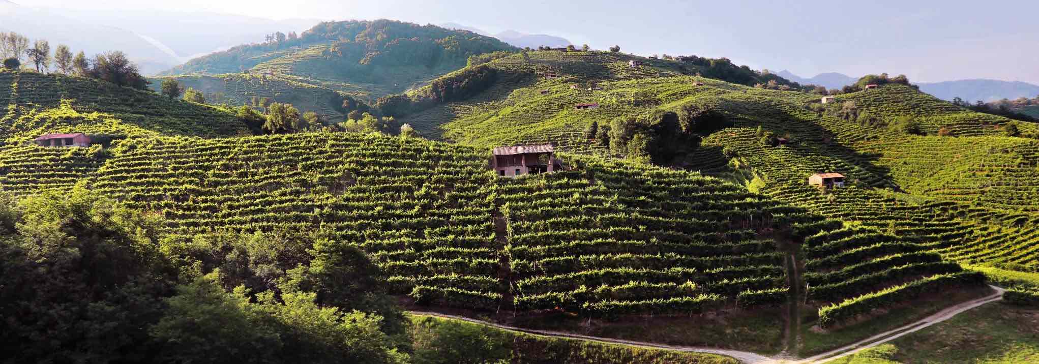 Valdobbiadene e Prosecco: Le 10 migliori esperienze da fare